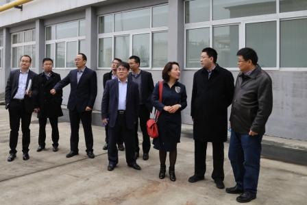 IMG_3218.jpg IMG_3218.jpg